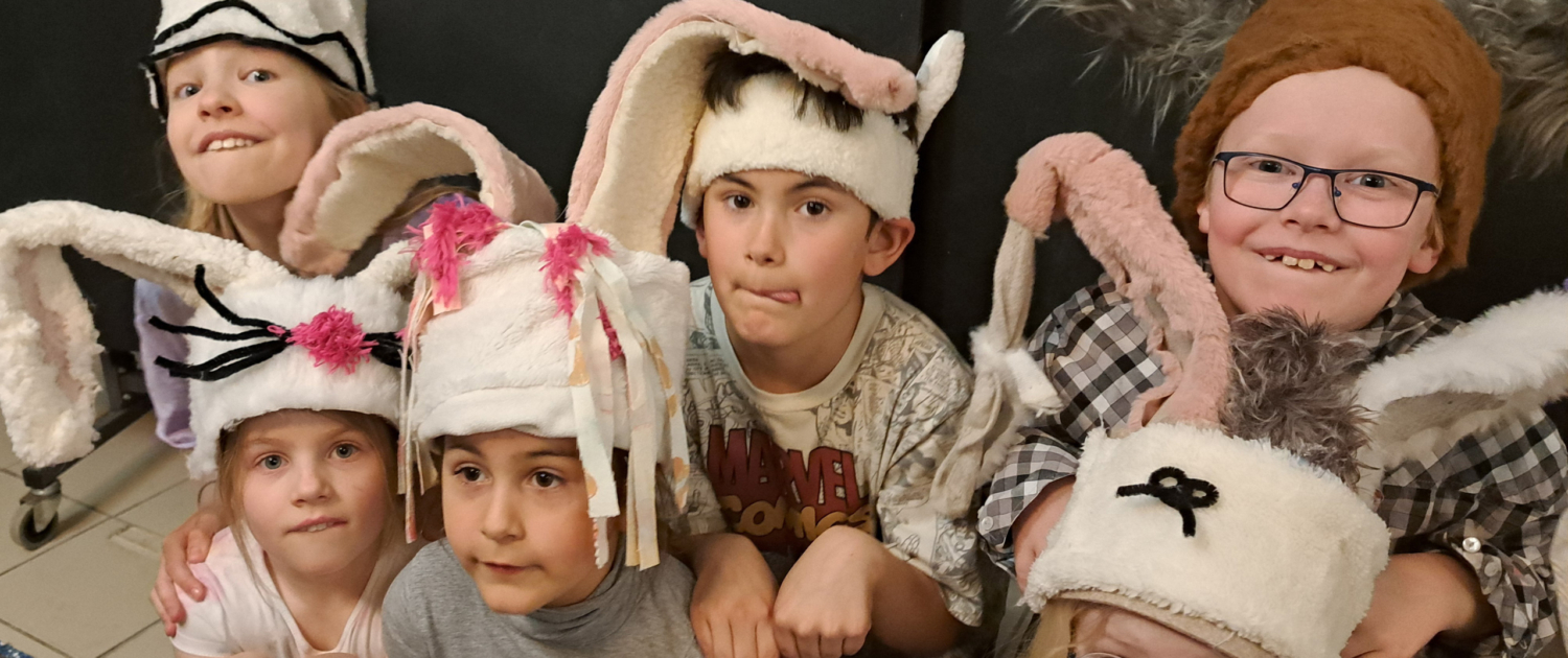 Foto-für-KTC-hasen-projekt